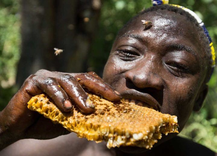 Hadzabe Tour