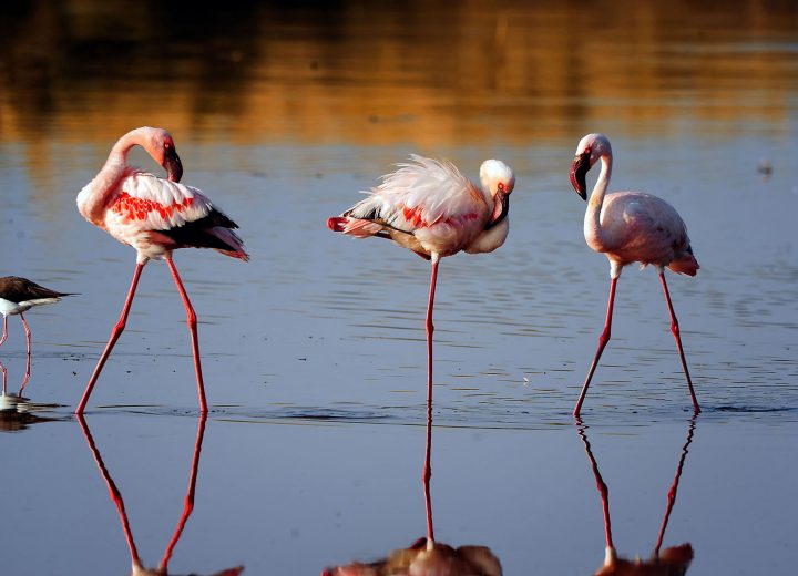 Ngorongoro Crater 1