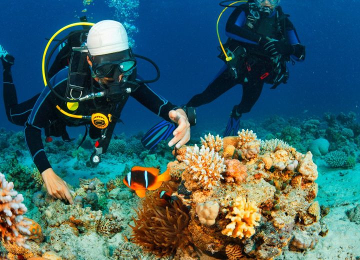 Zanzibar Diving
