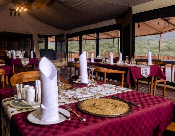 embalakai ngorongoro.jpg1
